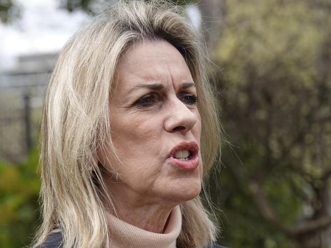 Leader of the Opposition in the upper house Georgie Crozier will move the motion on Wednesday citing concerns about Victoria’s financial position. Picture: Valeriu Campan