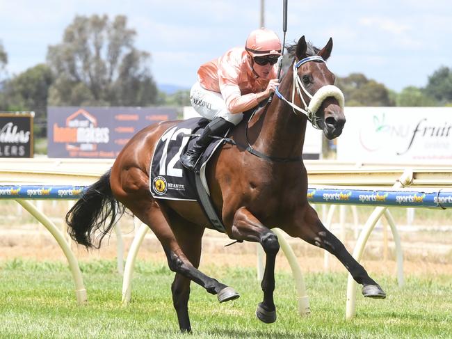 Persian Caviar ridden by Patrick Moloney wins the Worklocker Wangaratta 3YO Maiden Plate at Wangaratta Racecourse on December 23, 2024 in Wangaratta, Australia. (Photo by Brett Holburt/Racing Photos via Getty Images)