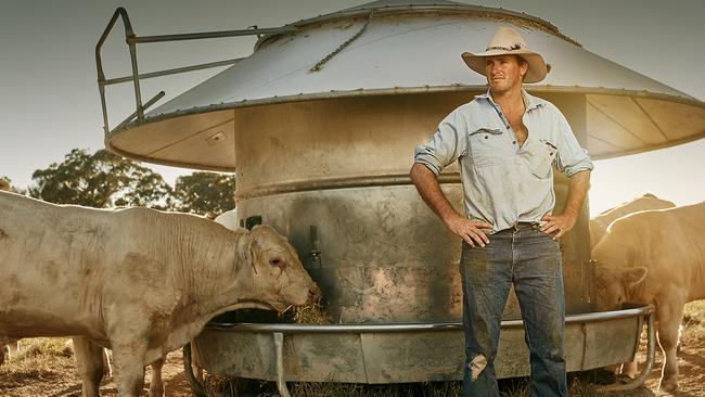 Box seat: James Millner of Rosedale Charolais at Blayney in NSW oversees a massive operation of 1600 stud and commercial cows.