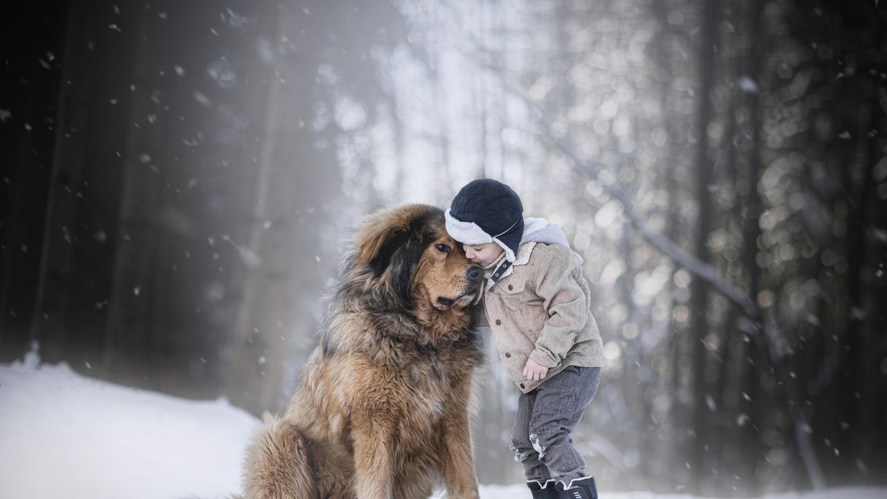 Members Choice Photograph of the Year by Nikol Koppova from the Czech Republic. NO REUSE - International Pet Photographer of the Year 2021 only.