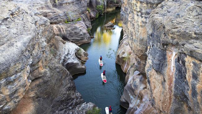 Stand-up paddle boarding in Cobbold Gorge, Forsayth.