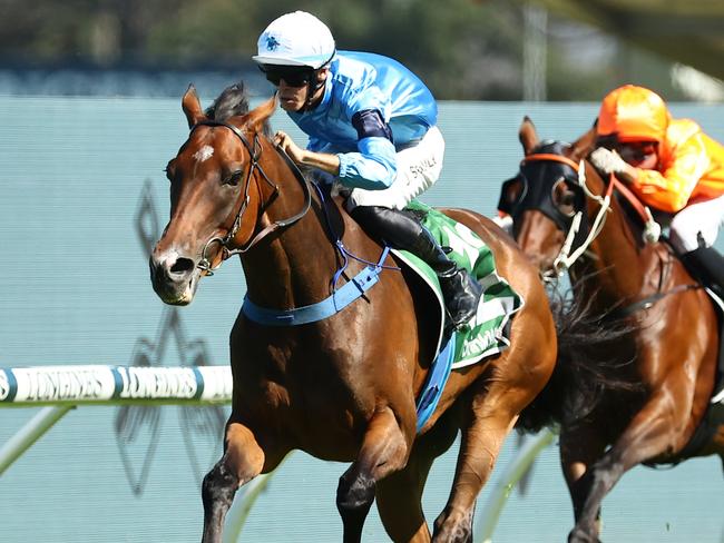 SYDNEY, AUSTRALIA - JANUARY 13: Jett Stanley riding Naval College wins Race 7 James Squire January Cup during Sydney Racing at Rosehill Gardens on January 13, 2024 in Sydney, Australia. (Photo by Jeremy Ng/Getty Images)