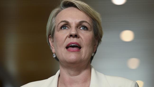 Sydney MP, and Environment and Water Minister Tanya Plibersek. Picture: Martin Ollman