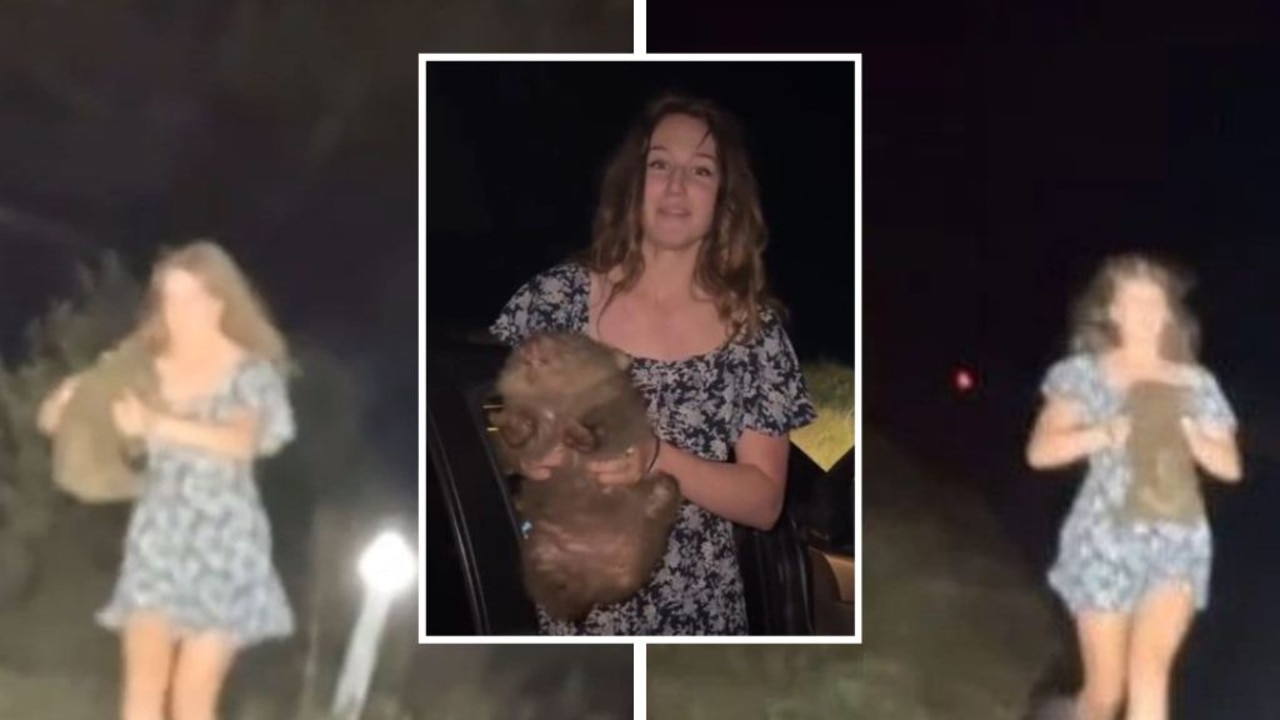 Wombat woman explodes after fleeing Aus