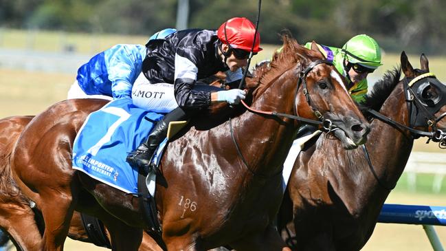 MELBOURNE, AUSTRALIA - JANUARY 25: Jamie Mott riding Royal Insignia defeats Tropicus and Band of Brothers in Race 9, the Tile Importer Manfred Stakes during Melbourne Racing at Sandown Racecourse on January 25, 2025 in Melbourne, Australia. (Photo by Vince Caligiuri/Getty Images)