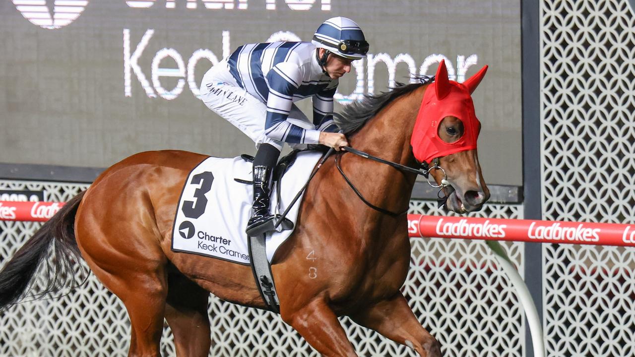 Uncommon James faces stiff opposition in The Galaxy at Rosehill on Saturday. Picture: Racing Photos via Getty Images