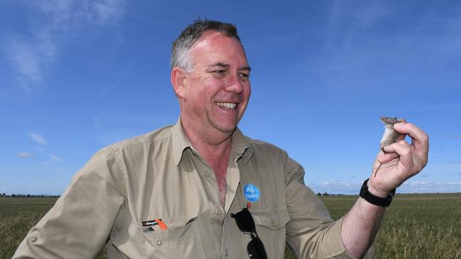 CSIRO researcher Steve Henry says mice populations are “surprisingly high” in South Australia, while numbers in NSW are lower than in 2021. Pic: Supplied