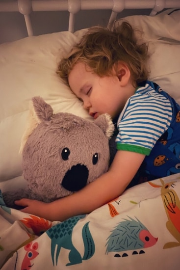 Neptune Blanket weighted toy review A koala saved mum s sleep after 2.5 years Kidspot