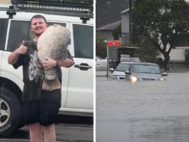 Aussie’s ‘insane’ catch in floodwaters