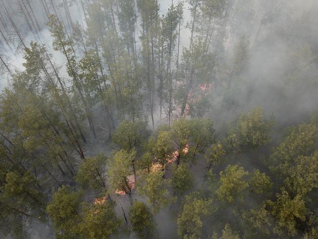 A forest fire burning near the Chernobyl nuclear power plant. Picture: AP