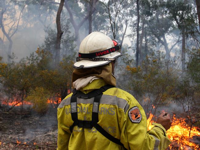 SYDNEY, AUSTRALIA - SEPTEMBER 04: Sonny Cromelin, a Field Officer with NSW National Parks and Wildlife Service in Dubbo, monitors a hazard reduction burn at Bowen Mountain on September 04, 2020 in Sydney, Australia. The operation united NSW National Parks and Wildlife Service crew members from the Blue Mountains, Hawkesbury, Glen Innes, Dubbo, Griffith, NSW Rural Fire Service, and Fire and Rescue along with air support from Sydney Helicopters. Hazard reduction burns are planned and controlled fires deliberately lit in designated areas under specific weather conditions to reduce the severity of future bushfires. The NSW Bushfire Inquiry report, delivered in August 2020, has recommended that hazard reduction burns be greatly increased in fire-prone areas. The independent inquiry was set up in the wake of NSW's catastrophic bushfires, which killed 25 people earlier this year. (Photo by Lisa Maree Williams/Getty Images)