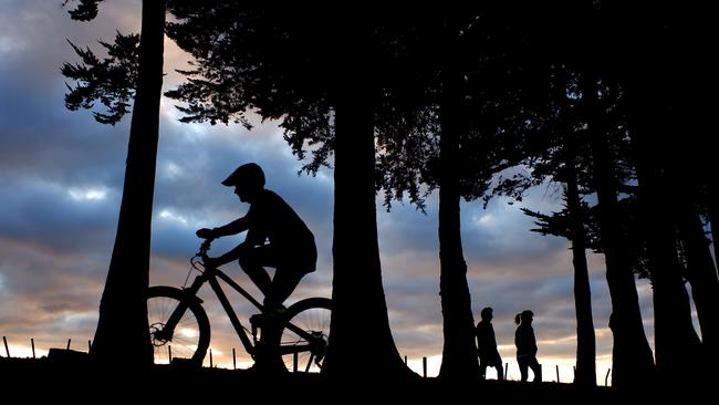 A bike rider in Auckland’s Totara Park on Friday. Picture: Getty Images