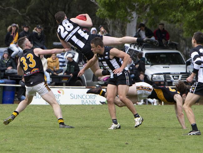 Cooper Nykamp soars over his Tigers opponents. Picture: Emma Brasier.