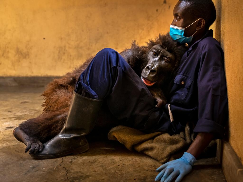 Ndakasi’s passing by Brent Stirton. Winner of the Photojournalism award.