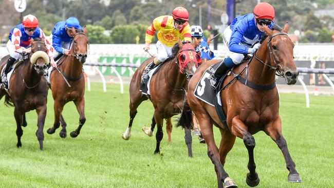 Japery, ridden by Tahlia Hope, takes out the Kennedy Plate at Flemington.