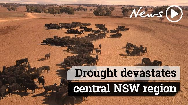 Drought devastates central NSW region