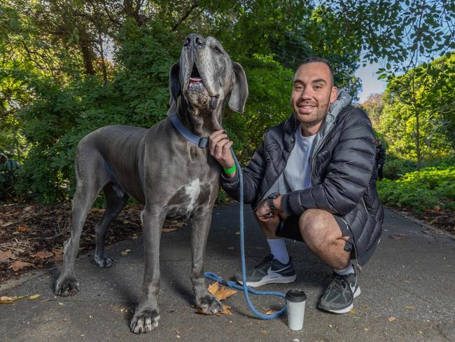 RSPCA SA's Million Paws Walk in Adelaide on May 25, 2025. Picture: Ben Clark