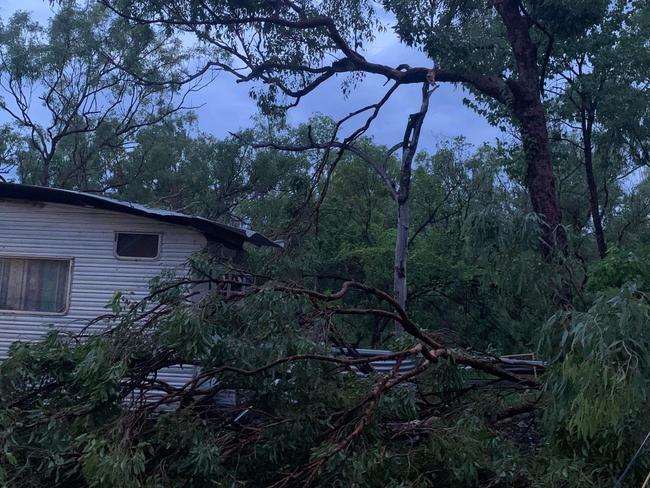 Trees have been uprooted after a deluge of rain Rachael Walters property near Mataranka. Picture: Rachael Walters.