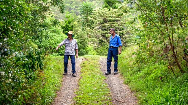 Ken Williams and Adrian George on their 40-hectare property at Georgica, which they have turned from degraded paddocks into a native habitat sanctuary over the last 25 years. The pair were named winners of the Individual Rural Landholder Award at the inaugural Lismore Biodiversity Awards last Friday night. Picture: Terra Sword