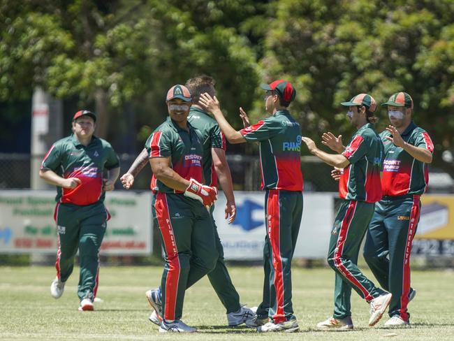 Pines players celebrate a wicket. Picture: Valeriu Campan