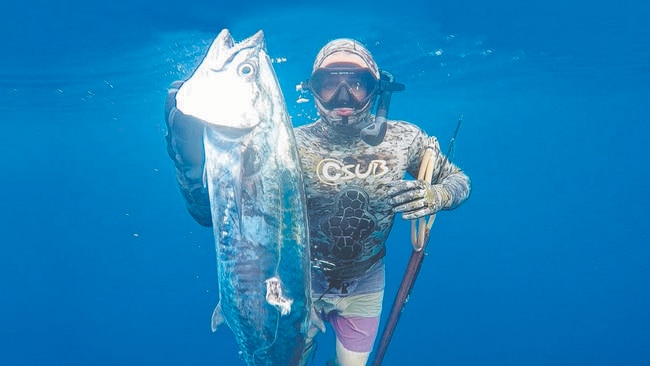 Spear Me The Details: Spearfishing on the Gold Coast