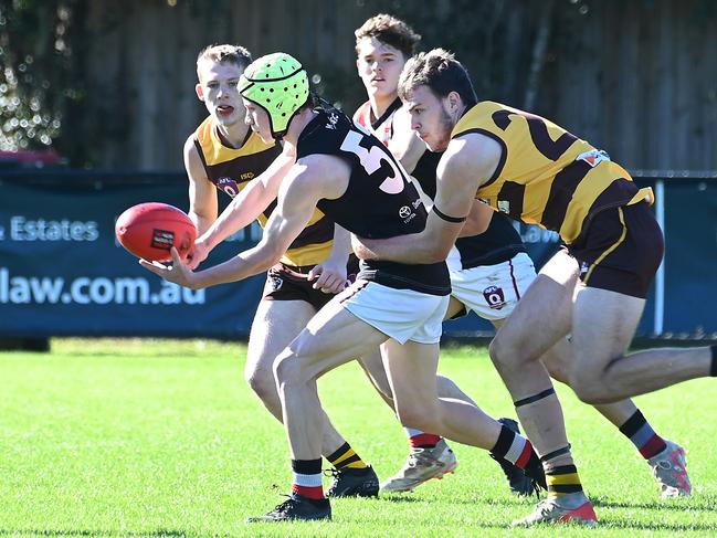 QAFL colts AFL between Aspley and Morningside.Saturday June 8, 2024. Picture, John Gass