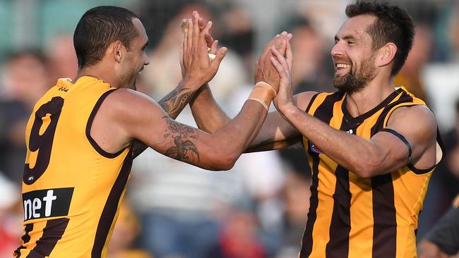 Hawthorn multiple-premiership stars Shaun Burgoyne and Luke Hodge face big decisions on their respective futures at season’s end. Picture: AAP