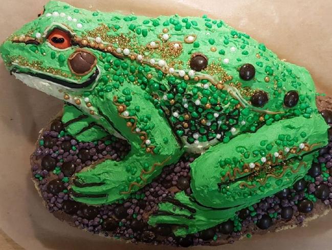 The growling grass frog whipped up by cesar Australia. It’s one of Australia’s largest frog species at up to 104mm in length.