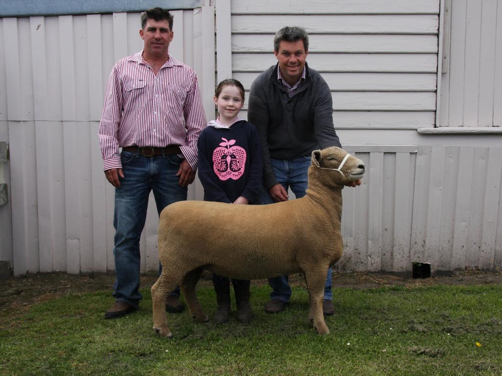 Royal Hobart Show: Raffle prize claims city’s beef crown | The Weekly Times