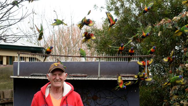 Birds of a feather flock together in Melton | Herald Sun