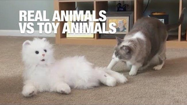 toy animals that look real