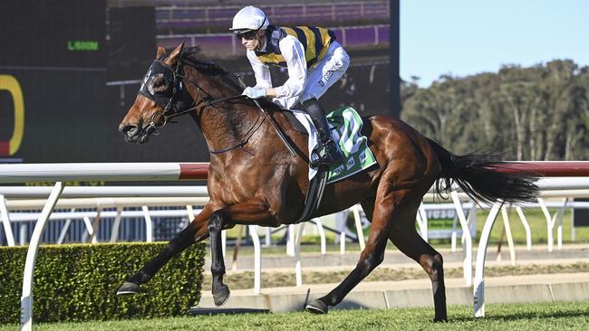 Tenniel can make it two in-a-row when she heads to Hawkesbury on Thursday. Picture: Bradley Photos