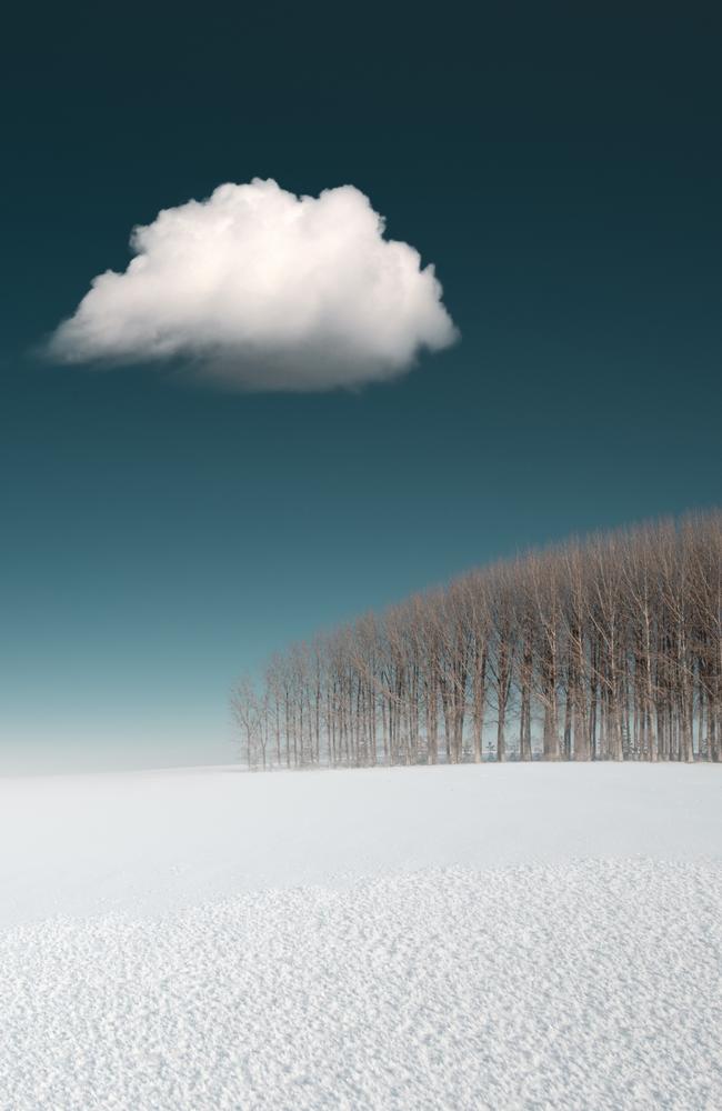 The stunning picture that won in the Landscape category. Picture: Benjamin Everett — Lopez Island, USA