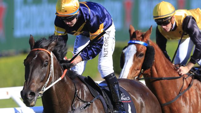 Mount Popa is by the same as stablemate Master Of Wine. Picture: AAP