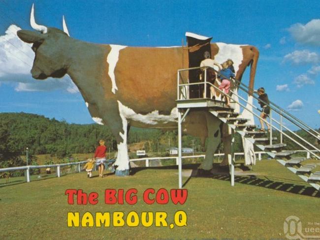 Or the Big Cow? Picture: Visit Sunshine Coast