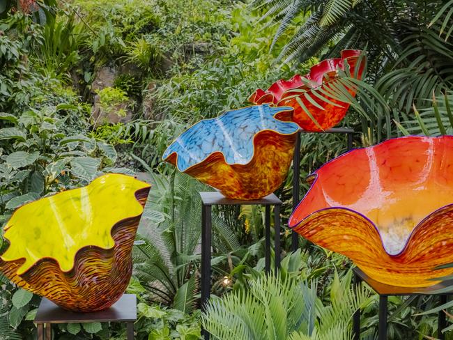 EMBARGO FOR TWAM, 28 SEPTEMBER 2024. FEE MAY APPLY. Macchia Forest Glass Sculpture by Dale Chihuly in 2023, at Missouri Botanical Garden. Photo: Nathaniel Willson / Supplied