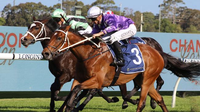 Francesco Guardi (inside) can break through for his first win in Australia. Picture: Grant Guy