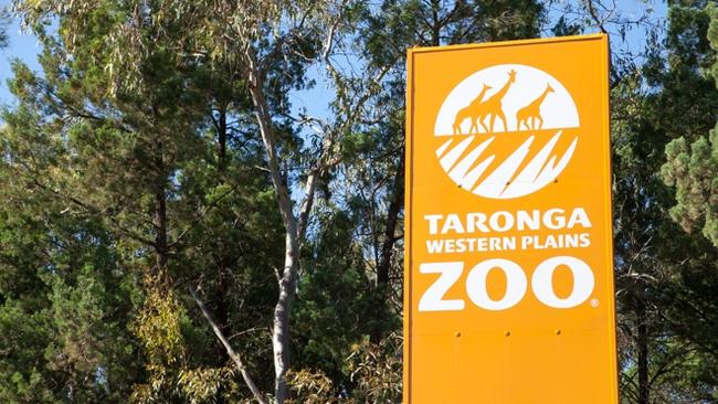 Staff at Dubbo Western Plains Zoo refused to allow the travel company’s staff and guests to get off the buses. Picture: supplied