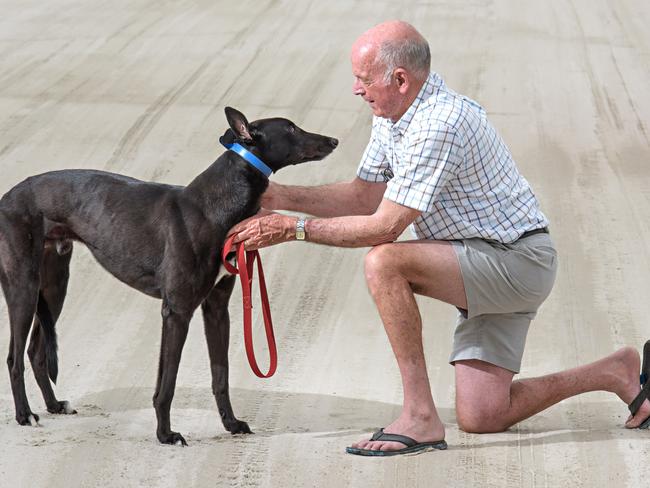 How Grafton secured world’s richest greyhound sprint