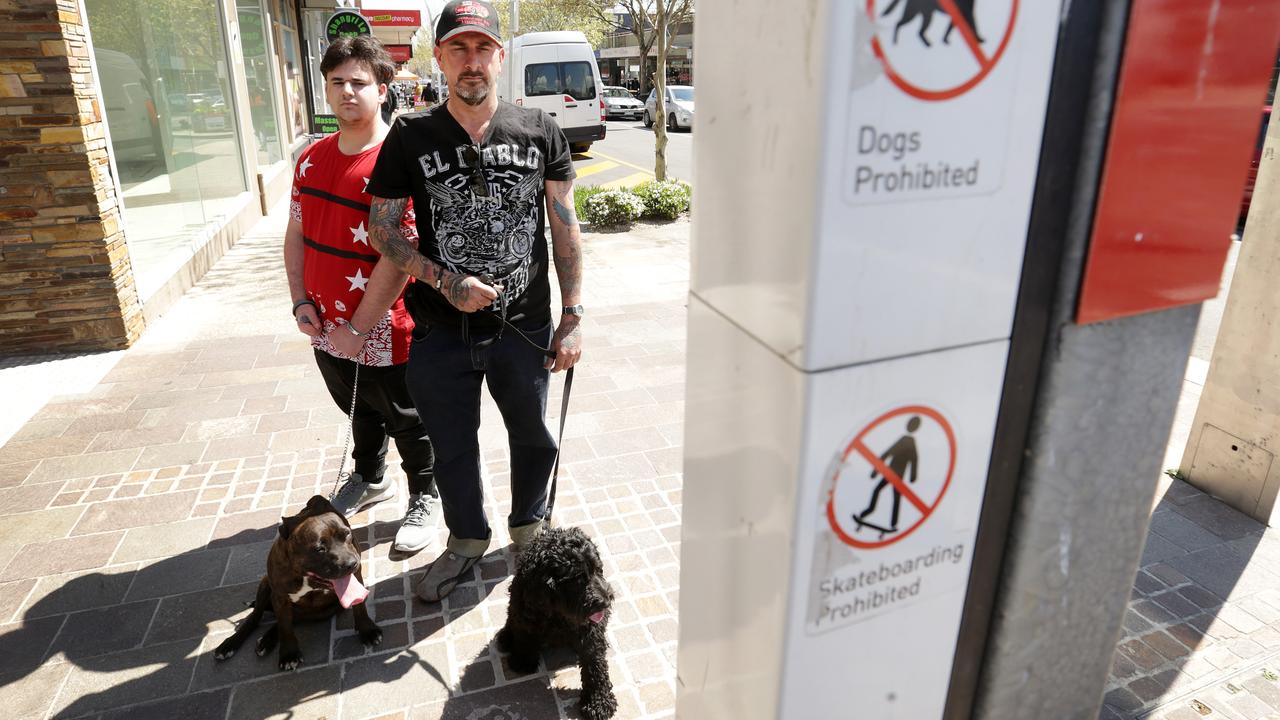 Frankston Community Noticeboard demand council can CBD dog ban | Herald Sun