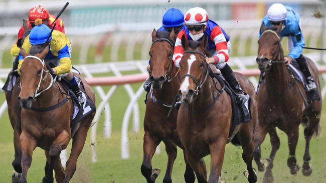 Breeders’ Plate winner Sejardan (white and red cap) is looking to make it two from two in the $1 million Golden Gift. Picture: Getty Images
