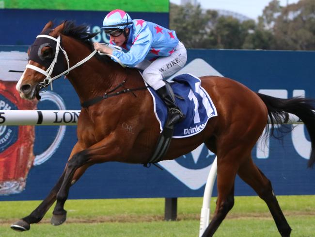 Ron Dufficy and Ray Thomas both have Naval Seal as their best bet of the day at Rosehill. Picture: Grant Guy