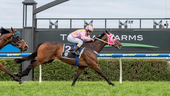 Sacred Kenshi was a smart winner for his new stable. Picture: Makoto Kaneko