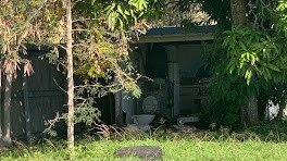 Junk at the back of the property, seen from the rear lane access on Murray Lane.