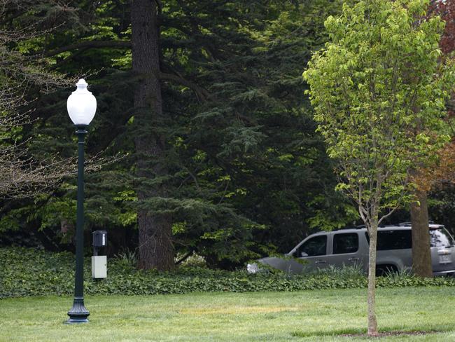 An empty area where the tree was planted. Picture: AP