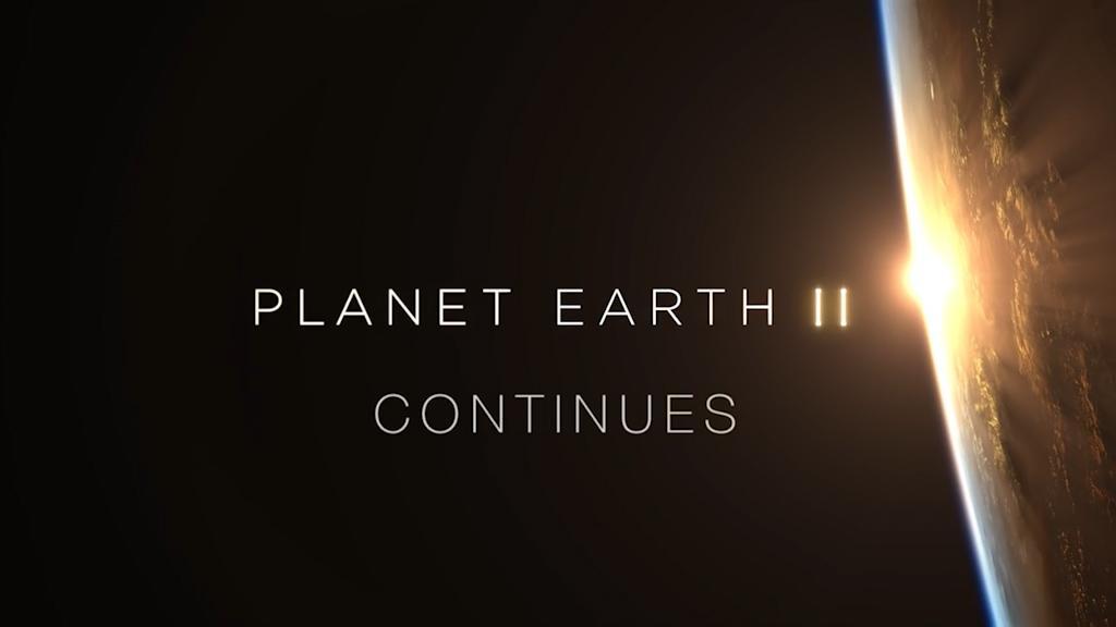 Planet Earth II Continues: Official Trailer