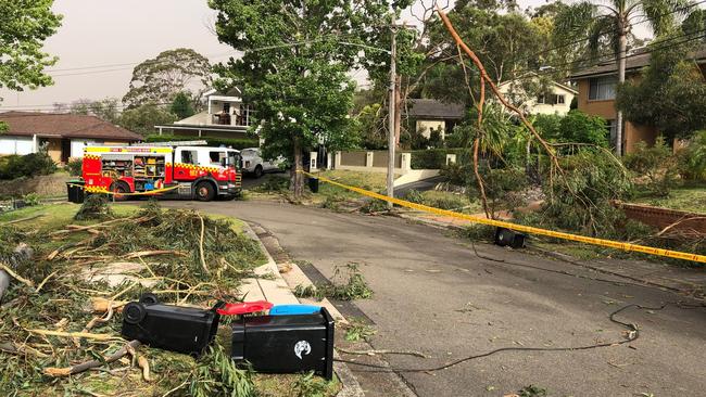 A man had to be rescued from his car, parked in his driveway in Rupari Pl, Davidson, after live powerlines, brought down by falling trees, fell across it during the storm. Picture: Jim O'Rourke.