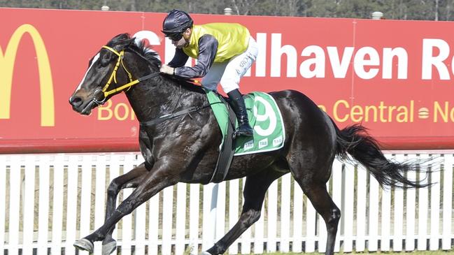 Race 1 - Nowra, 27/08/2023, Winner - Man Of Mine, Jockey - Quayde Krogh, Picture: Bradley Photos