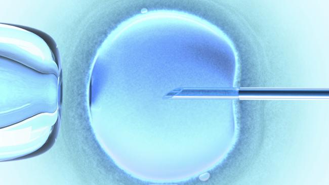 Heartbroken women may have been robbed of the chance to have children after an IVF bungle.