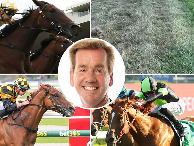 Ray Thomas (inset) previews a big day of racing, with Gold Coast track damage (top right) forcing the relocation of its meeting to the Sunshine Coast. Lady Of Camelot (top left) is favourite for the $3m Sunlight at the Sunshine Coast, while Holymanz (bottom left) will defend his Coastal Classic title at Geelong. And Accredited (bottom right) is heavily fancied at Royal Randwick today.